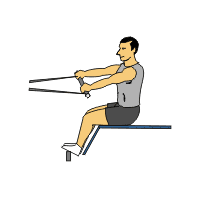 CBStraightBackSeatedRow