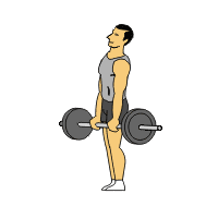 BBStrBackStiffLegDeadlift