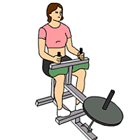 Machine Seated Calf Raise