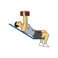 Palms in Db chest press