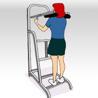 Standing Machine Calf Raise