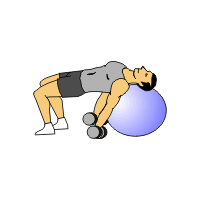 Supine DB bicep curl