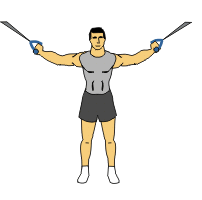 cable lateral curls