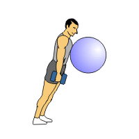 calf raises exercise ball dumbbells