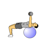 hr-tri-ex swiss ball pro Dumbbells