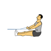 low row underhand grip