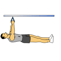 NeutralGripInvertedRow.