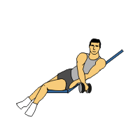 single arm incline lateral raise