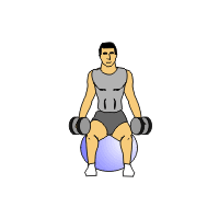 stdlat dumbbell rs swiss ball pro