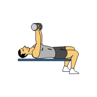 palms out chest flye