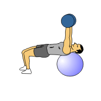 pec-fly exercise ball power weight