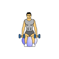 seated dumbbell biceps curls on swiss ball pro