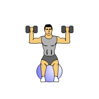 seated dumbbell press on sissel swiss ball pro