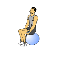 seatedbandcurl1.clk 2