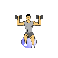 std-dumbbell-prs swiss ball pro adv2