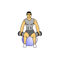 stdfr rs swiss ball pro dumbbells1