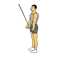 straight arm pulldowns